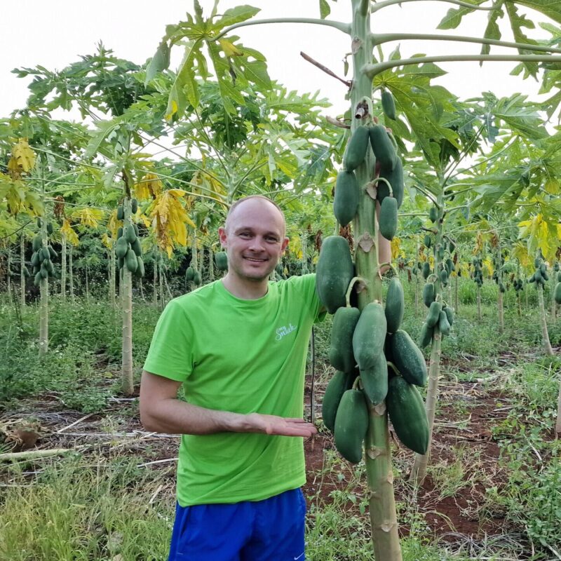 erko kodulehele erko kodulehele