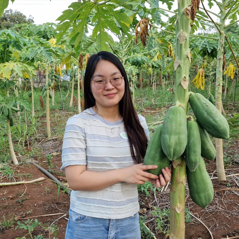 willow kodulehele willow kodulehele