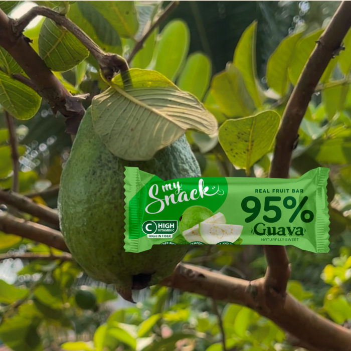 95% guava fruit bar 30g | Sinless snacks