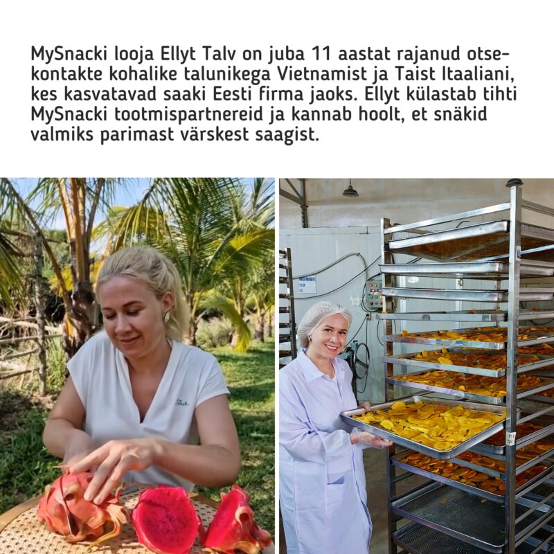 Ellyt puuviljade tehases, kuivatab mangot ja farmis lõikab draakonivilja