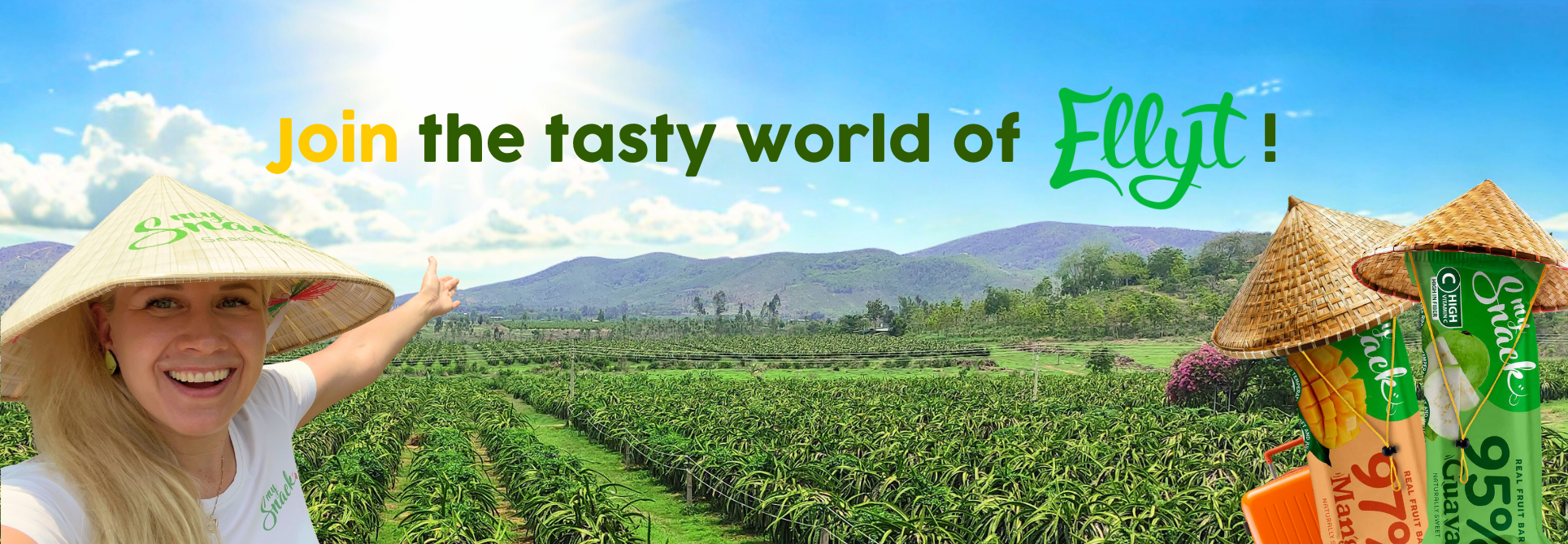 Website cover photo ELLYT EST